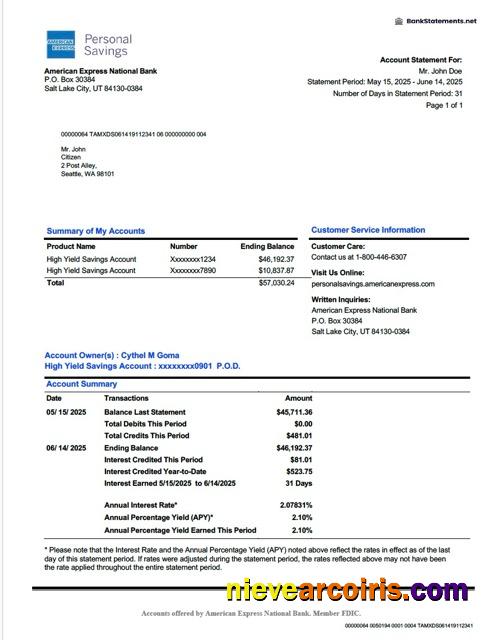 USA American Express National Bank account statement Word and PDF